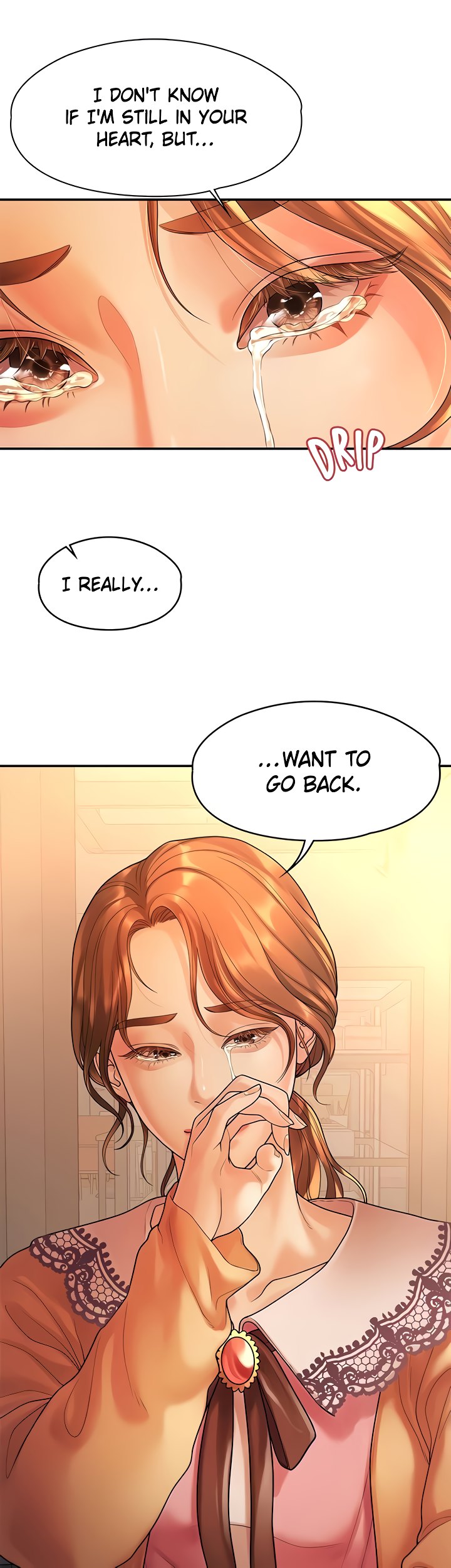 So close, yet so far Chapter 19 - The End image 73