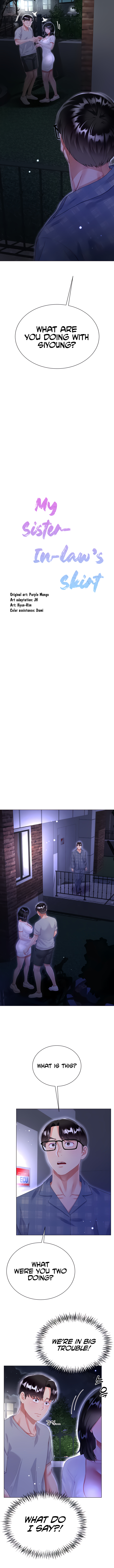 Skirt of My Brother’s Wife Chapter 37 image 1