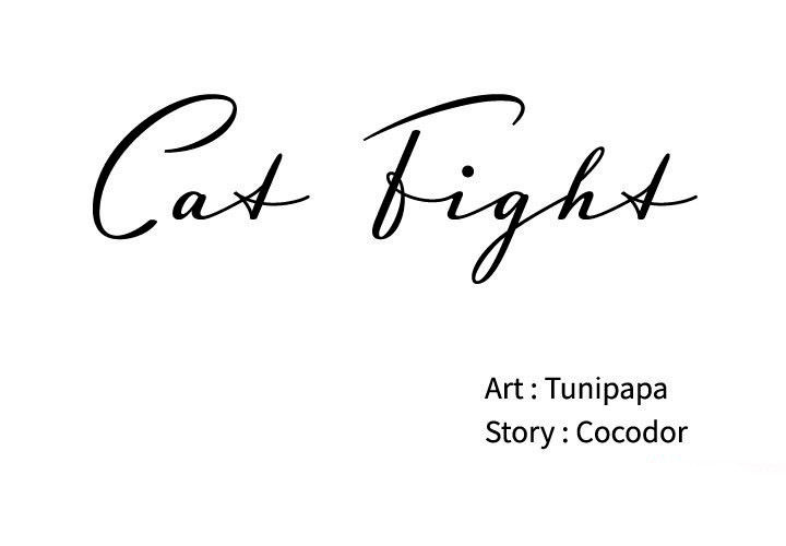 Cat Fight Chapter 19 image 0