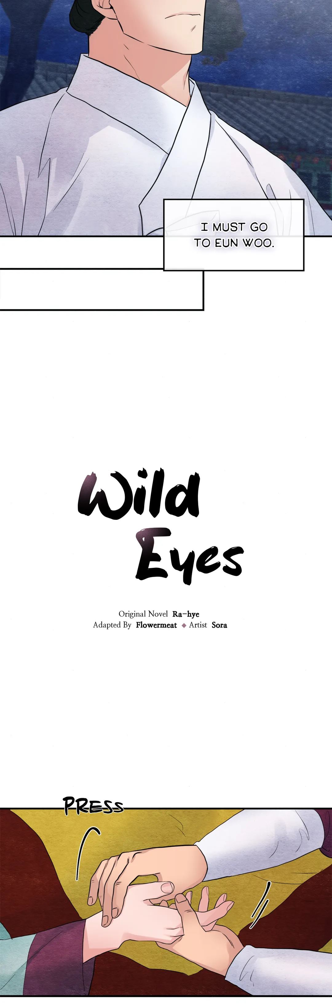 Wild Eyes Chapter 29 image 17