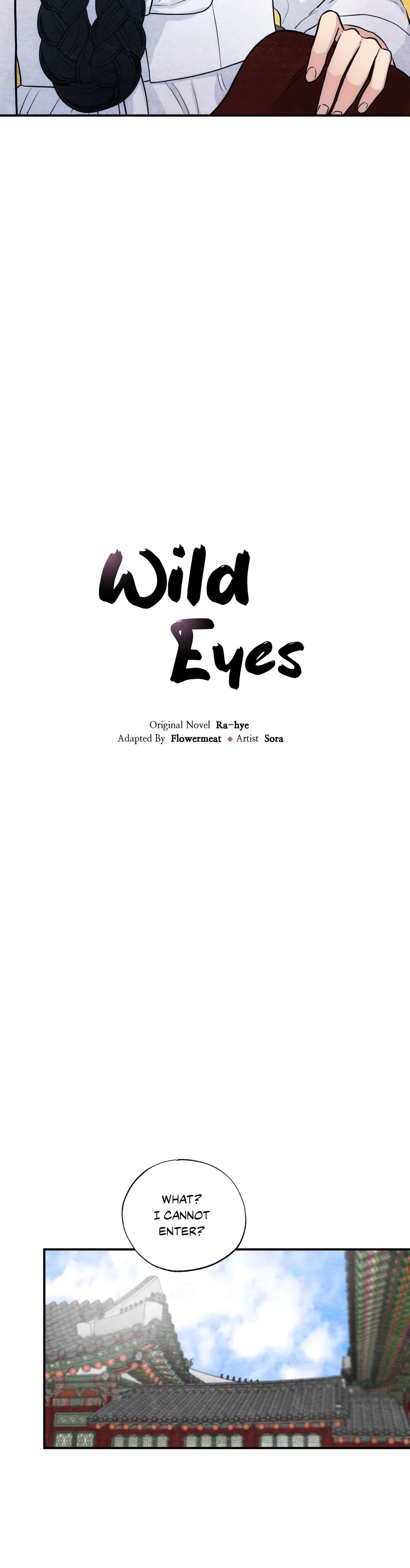 Wild Eyes Chapter 41 image 2