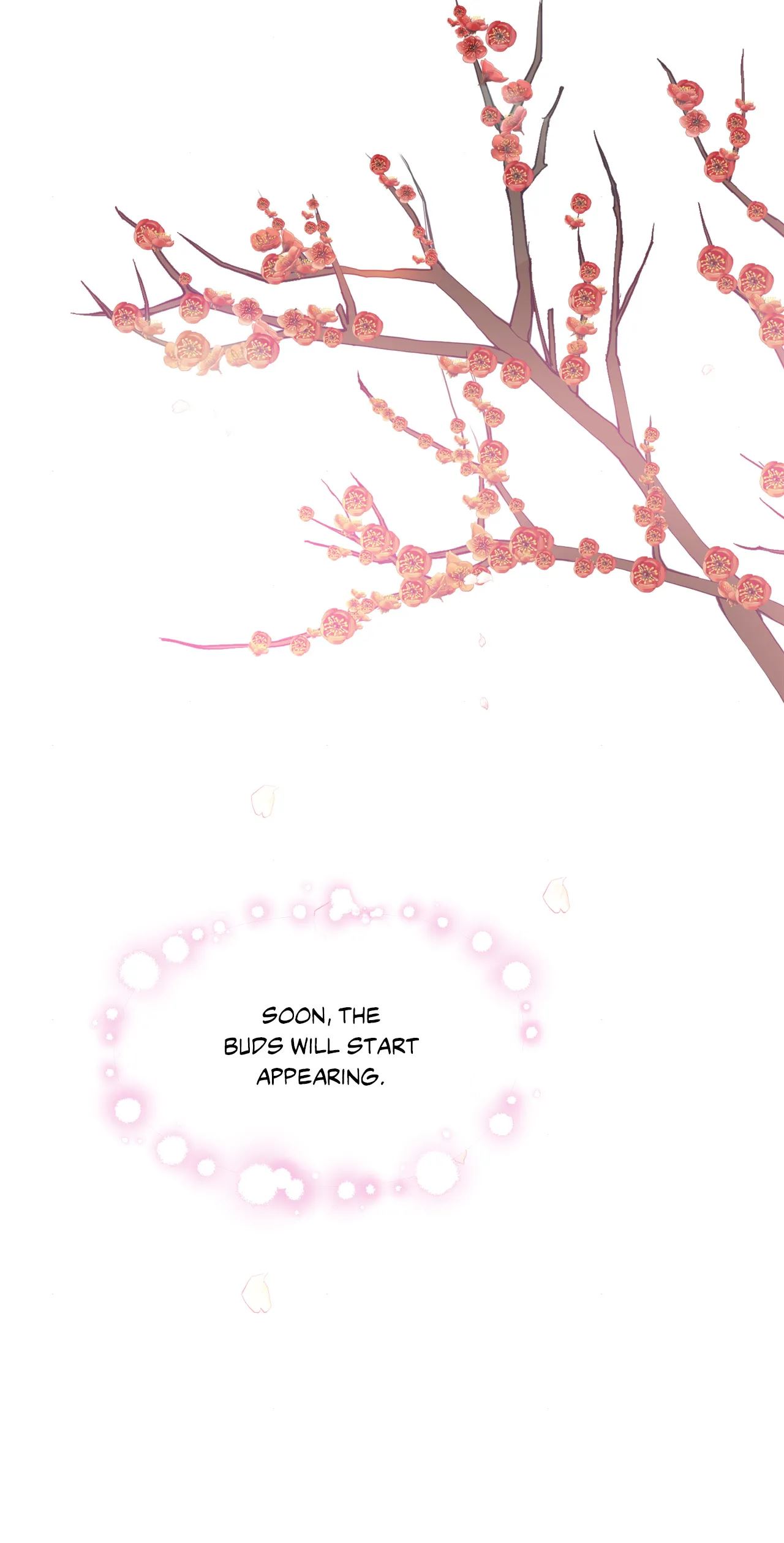 Wild Eyes Chapter 56 image 29
