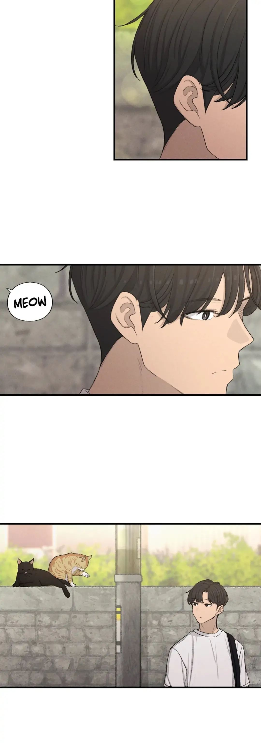 In the Sunshower Chapter 46 image 4