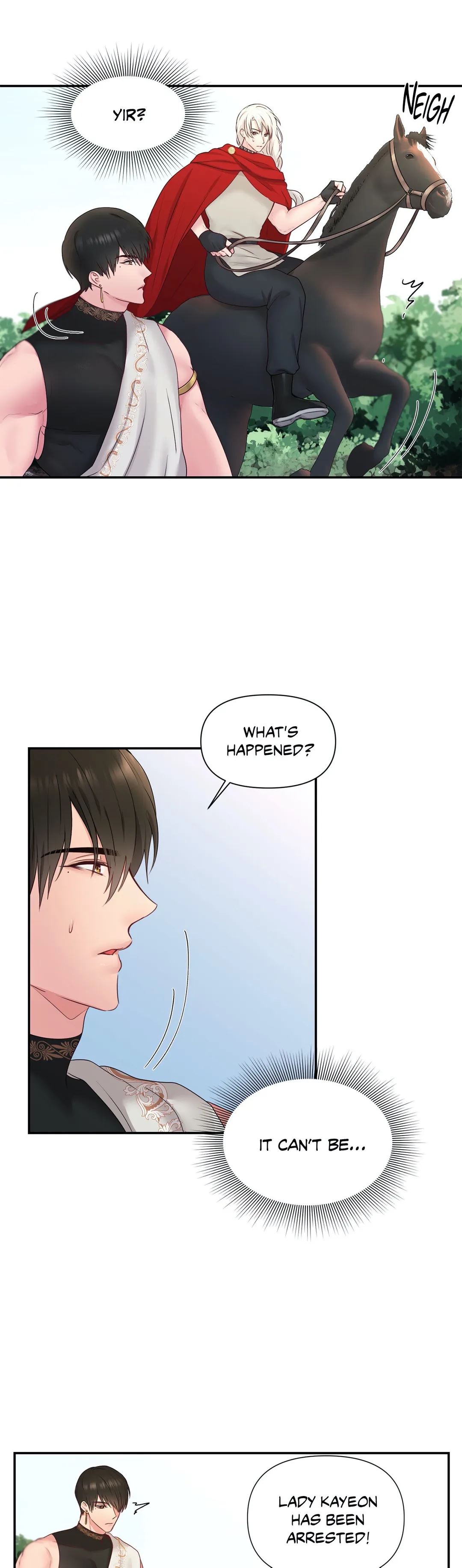 His Majesty is Mine Chapter 29 image 4