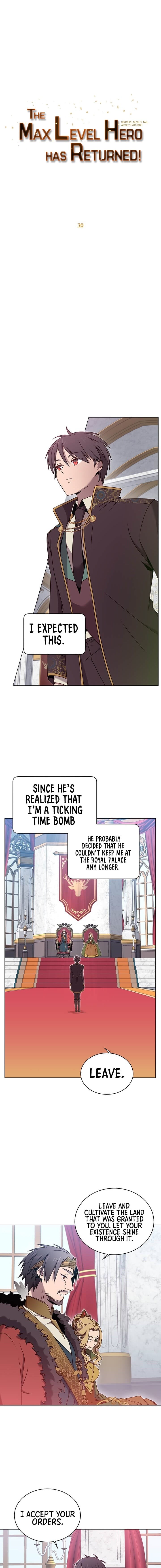 The Max Level Hero has Returned! Chapter 30 image 6