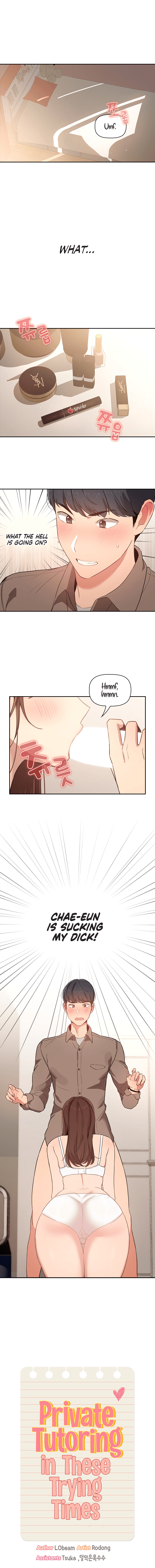 Private Tutoring in These Difficult Times Chapter 6 image 1