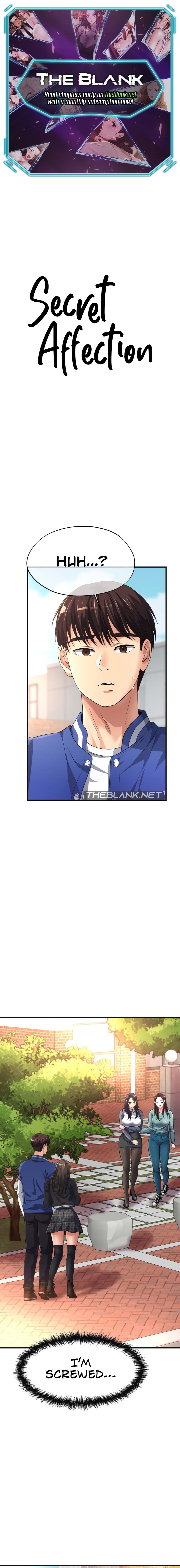 Secret Affection Chapter 12 image 0