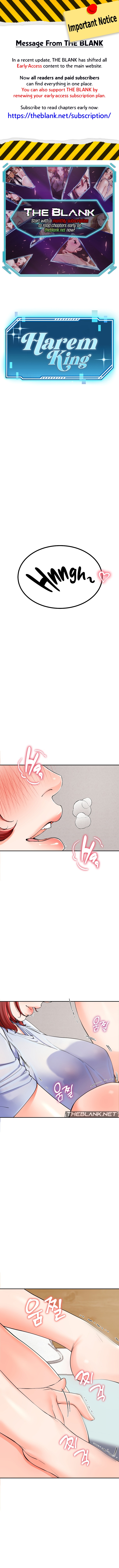 Harem King Chapter 4 image 0