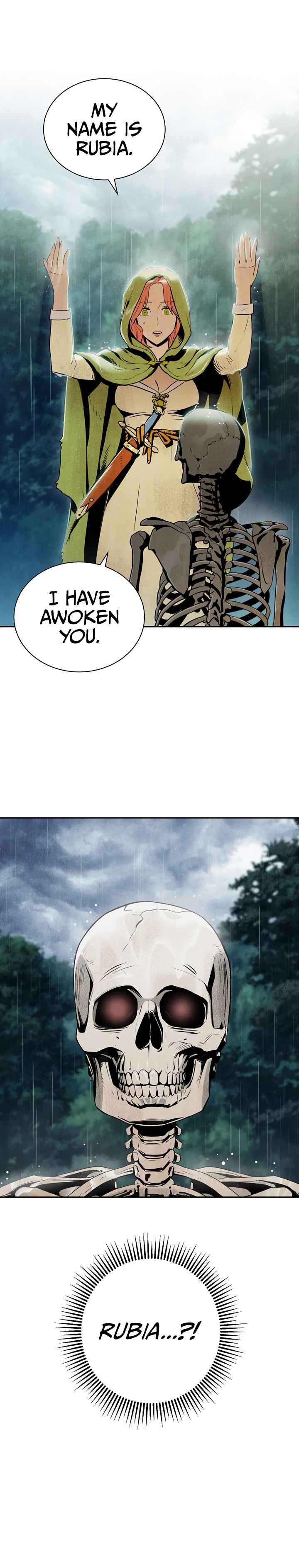 Skeleton Soldier Couldn’t Protect the Dungeon Chapter 87 image 23