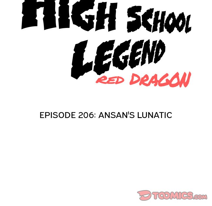 High School Legend Red Dragon Chapter 206 image 11