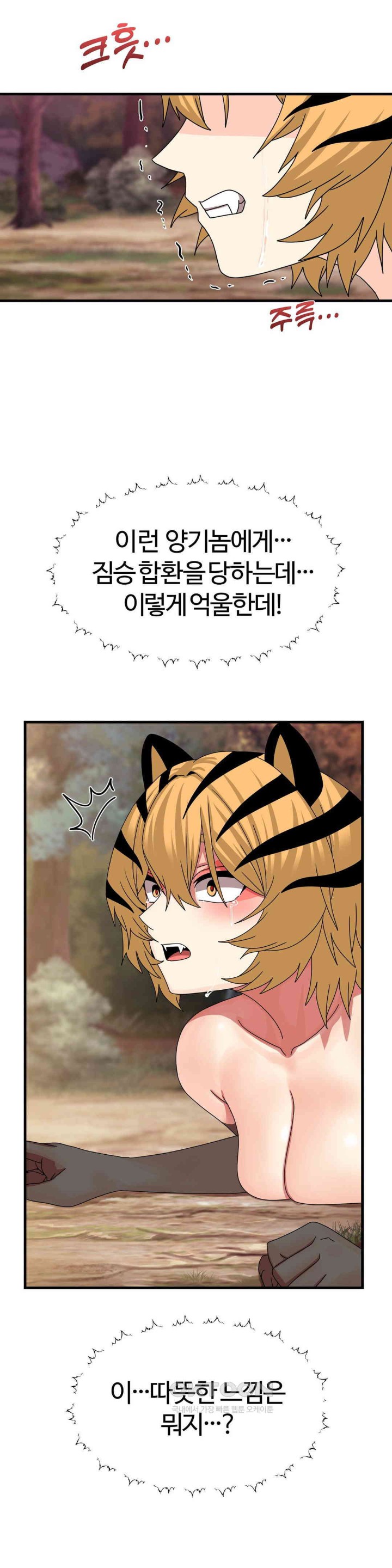 Flowers of War Raw Chapter 21 image 12