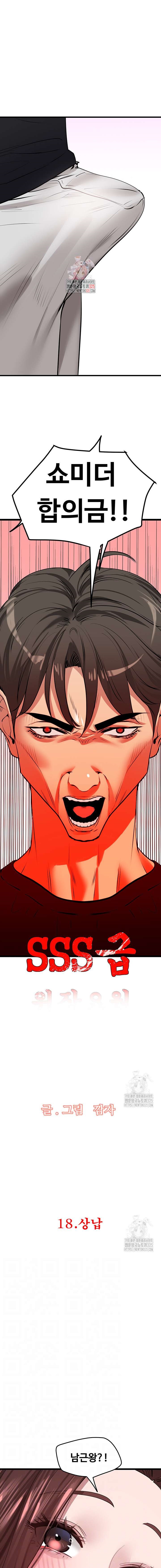 SSS-Class Undercover Agent Raw Chapter 18 image 0