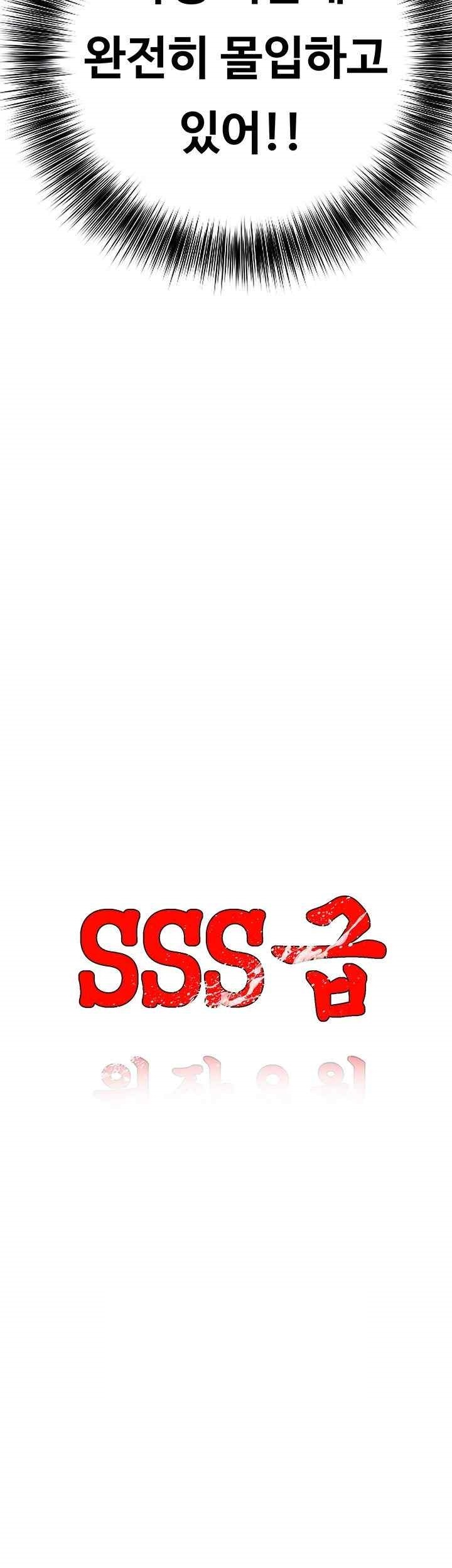 SSS-Class Undercover Agent Raw Chapter 33 image 8