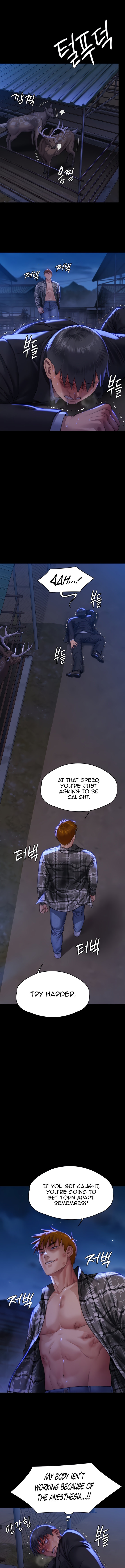 Queen Bee Chapter 312 image 5