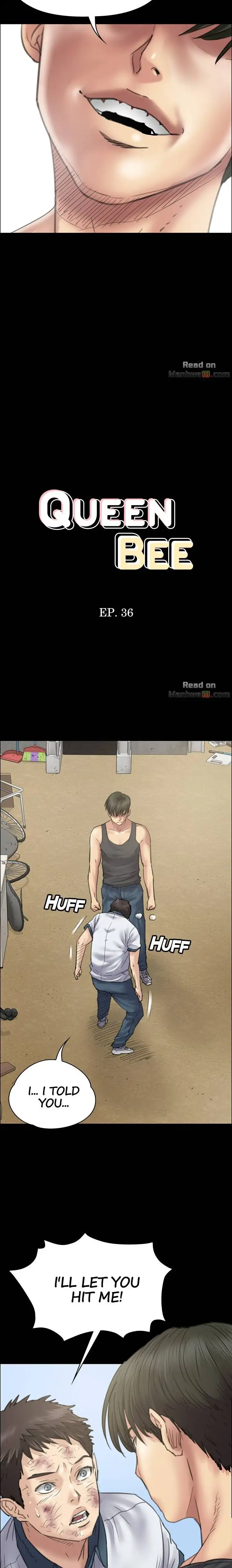 Queen Bee Chapter 36 image 1