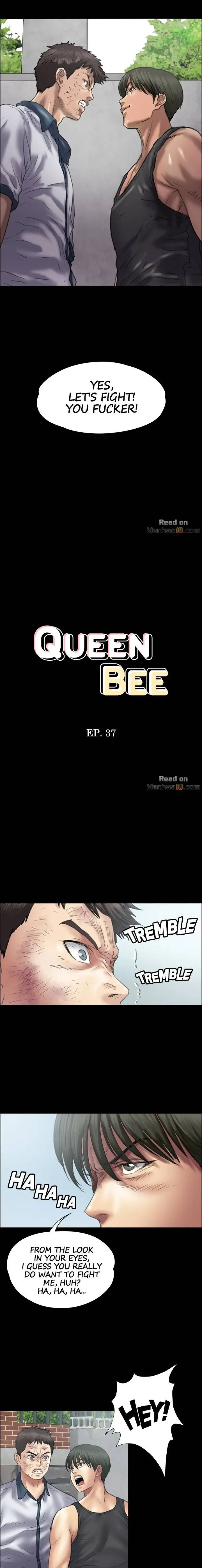Queen Bee Chapter 37 image 1