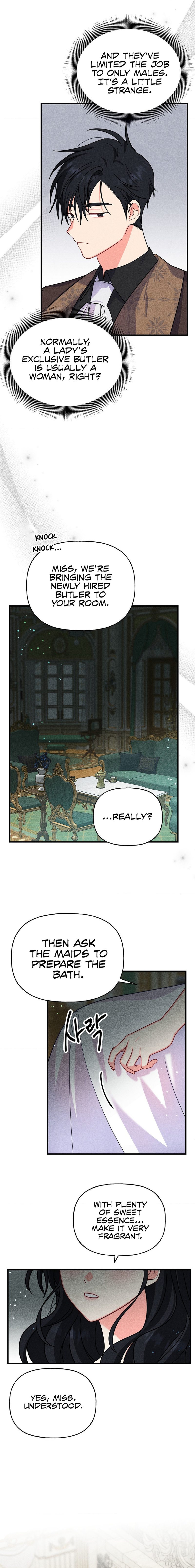 Secret Education with My Lady Chapter 1 image 11