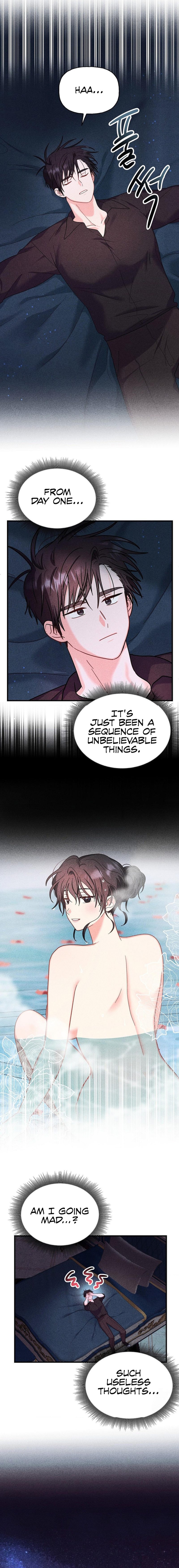 Secret Education with My Lady Chapter 2 image 13