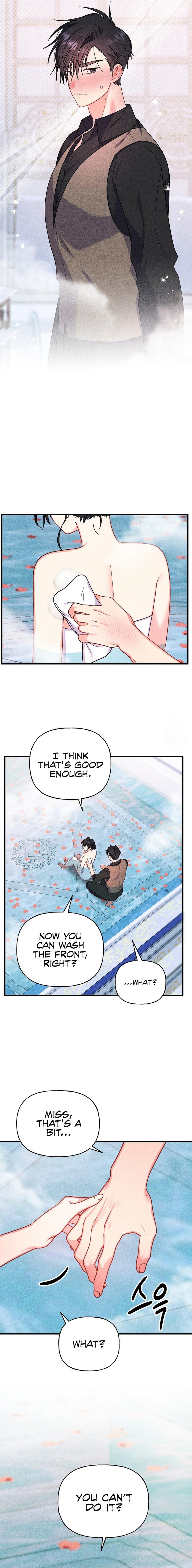 Secret Education with My Lady Chapter 2 image 4