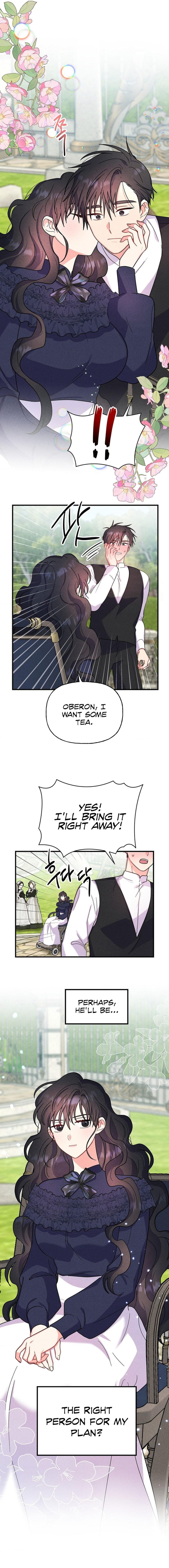 Secret Education with My Lady Chapter 4 image 11