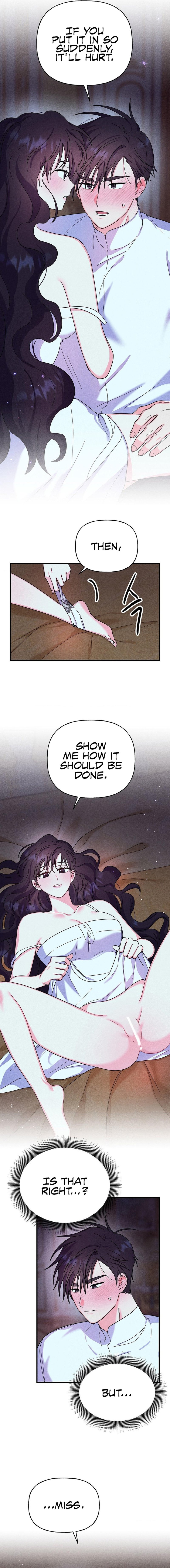 Secret Education with My Lady Chapter 6 image 5