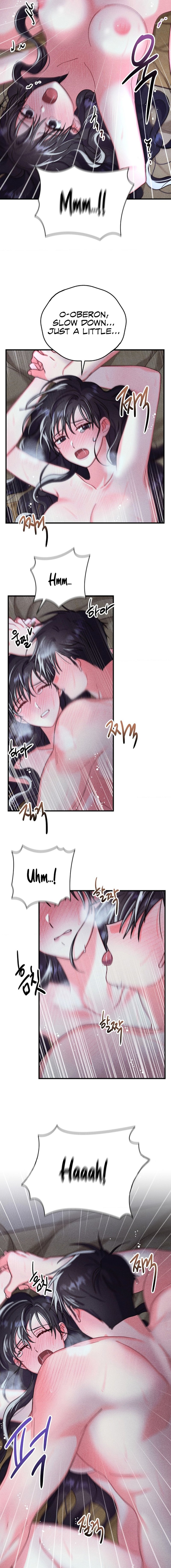 Secret Education with My Lady Chapter 8 image 9
