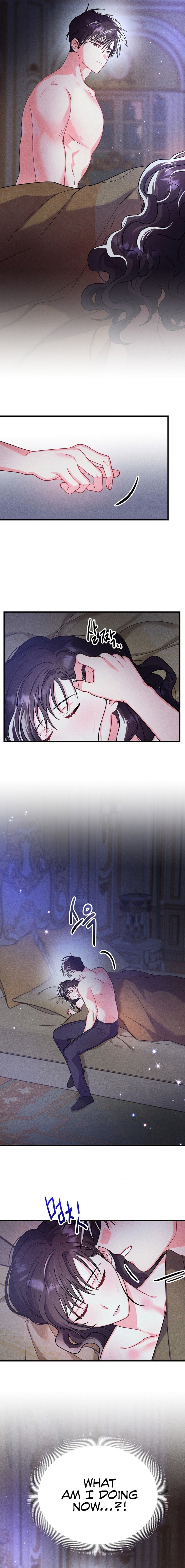 Secret Education with My Lady Chapter 8 image 11