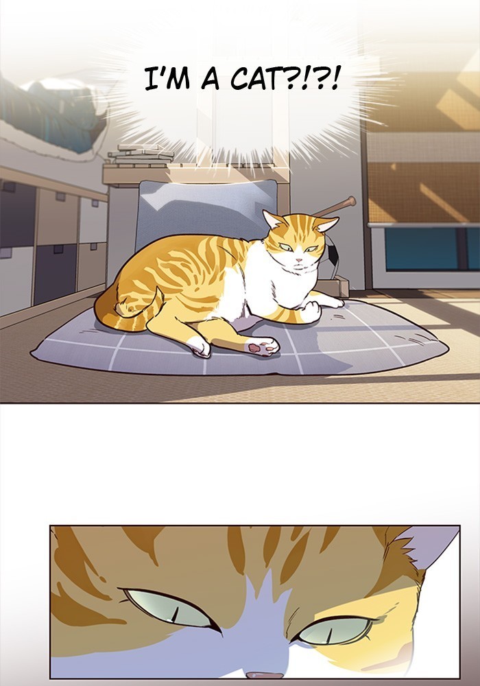 Eleceed Chapter 1 image 58
