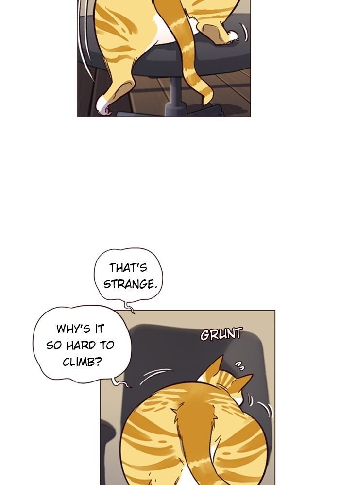 Eleceed Chapter 1 image 95