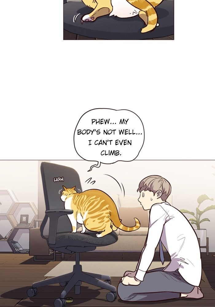 Eleceed Chapter 1 image 96