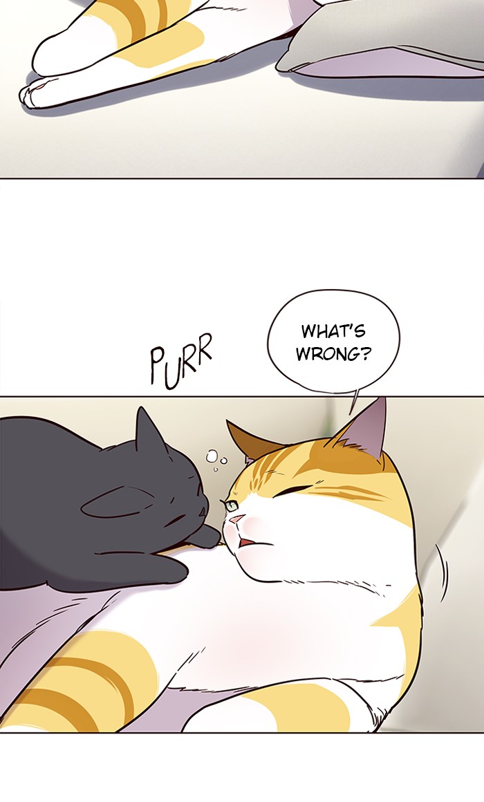 Eleceed Chapter 101 image 2