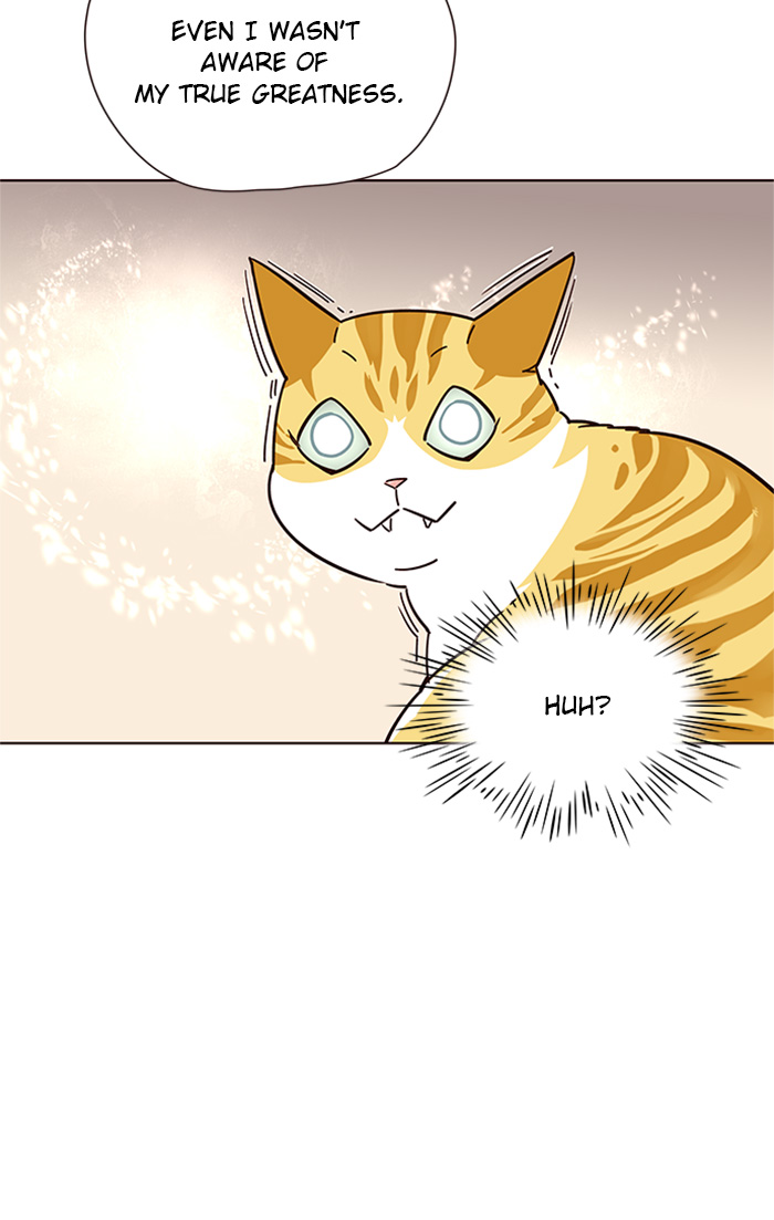Eleceed Chapter 16 image 25