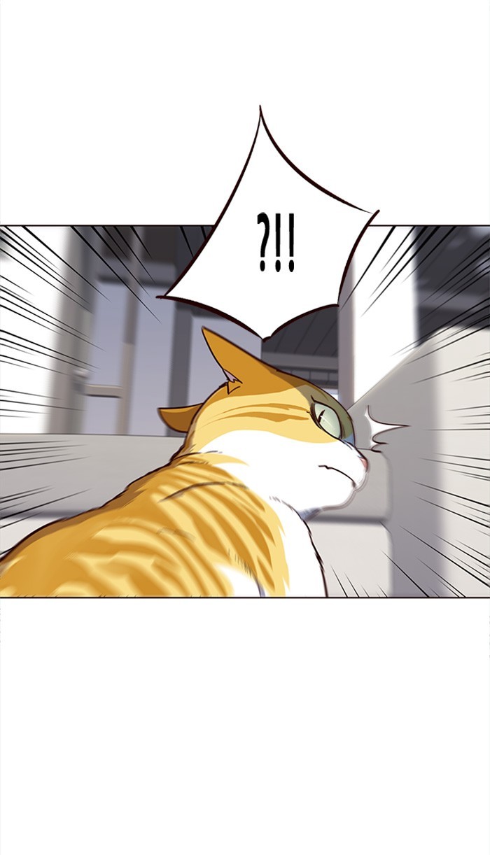 Eleceed Chapter 16 image 50