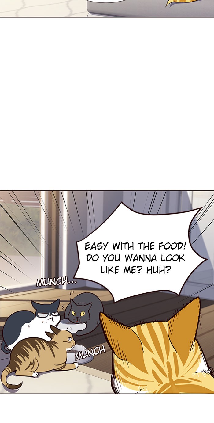 Eleceed Chapter 17 image 42