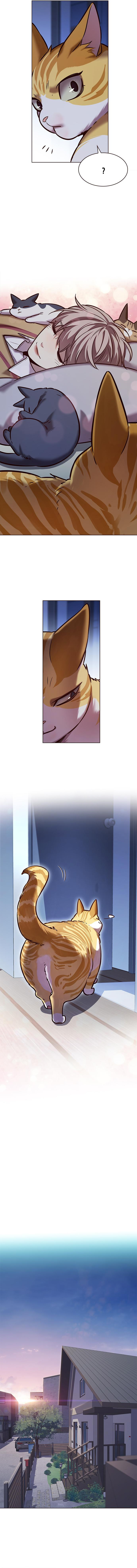 Eleceed Chapter 229 image 10