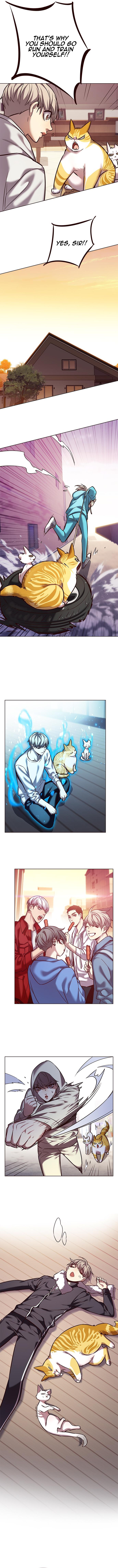 Eleceed Chapter 239 image 9
