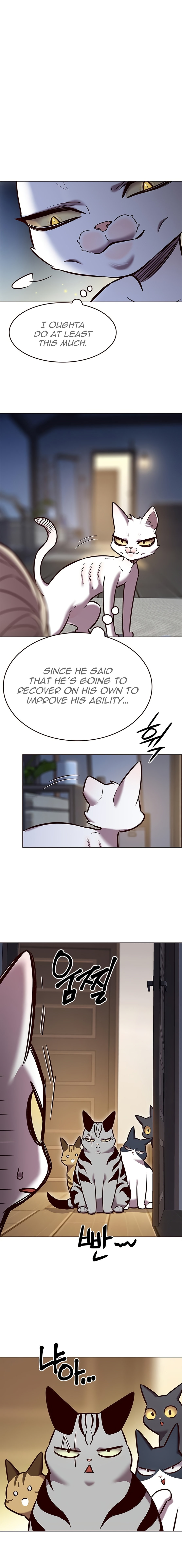 Eleceed Chapter 262 image 14