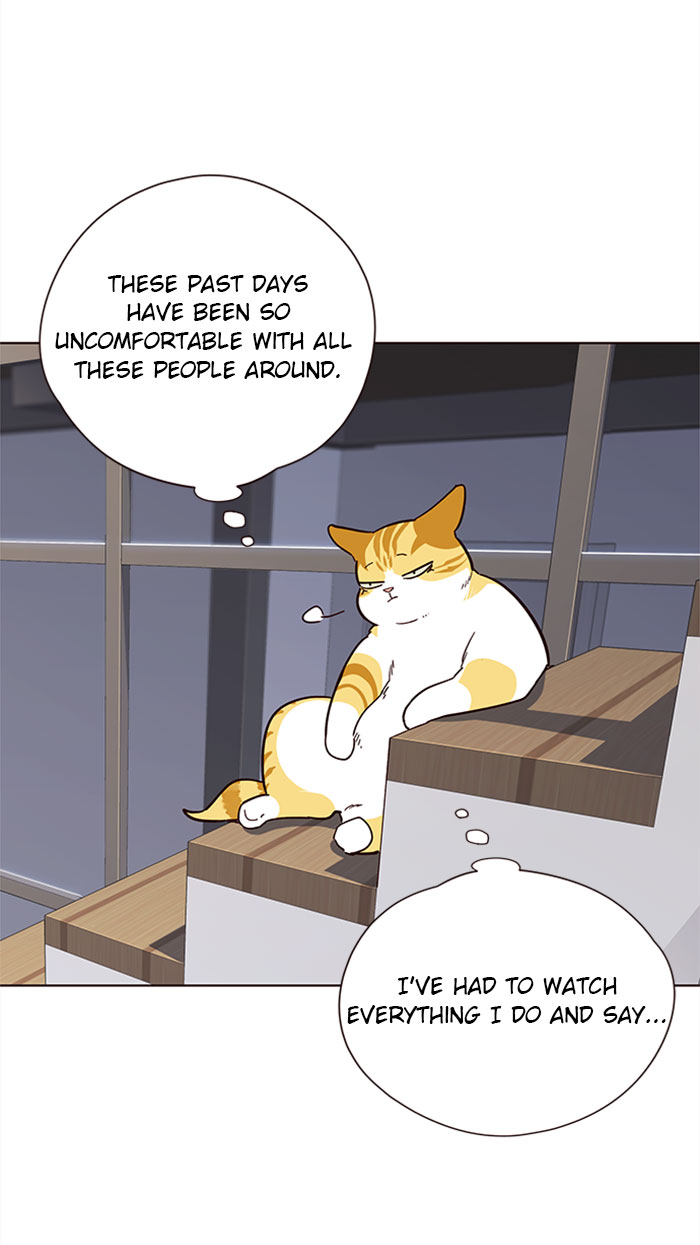 Eleceed Chapter 35 image 41