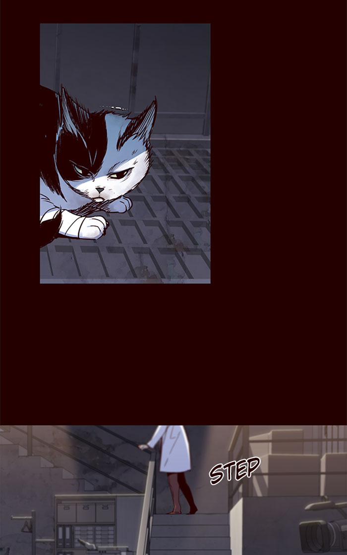 Eleceed Chapter 36 image 14