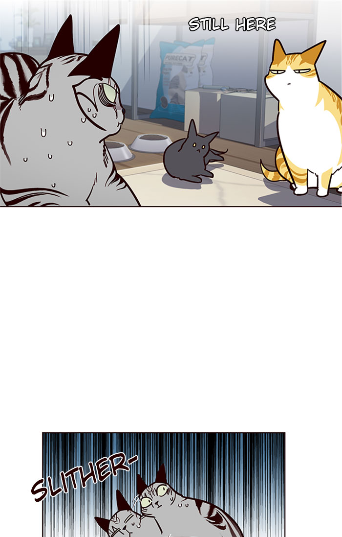 Eleceed Chapter 37 image 39