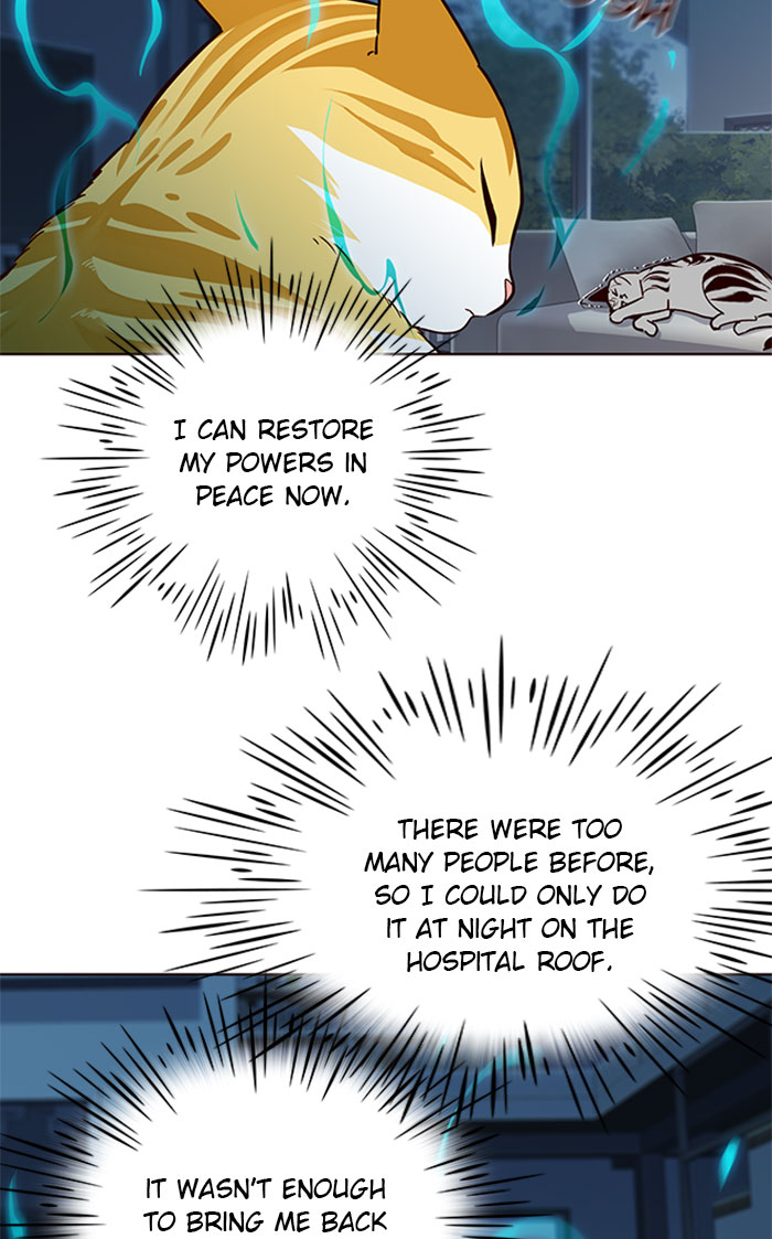 Eleceed Chapter 37 image 43