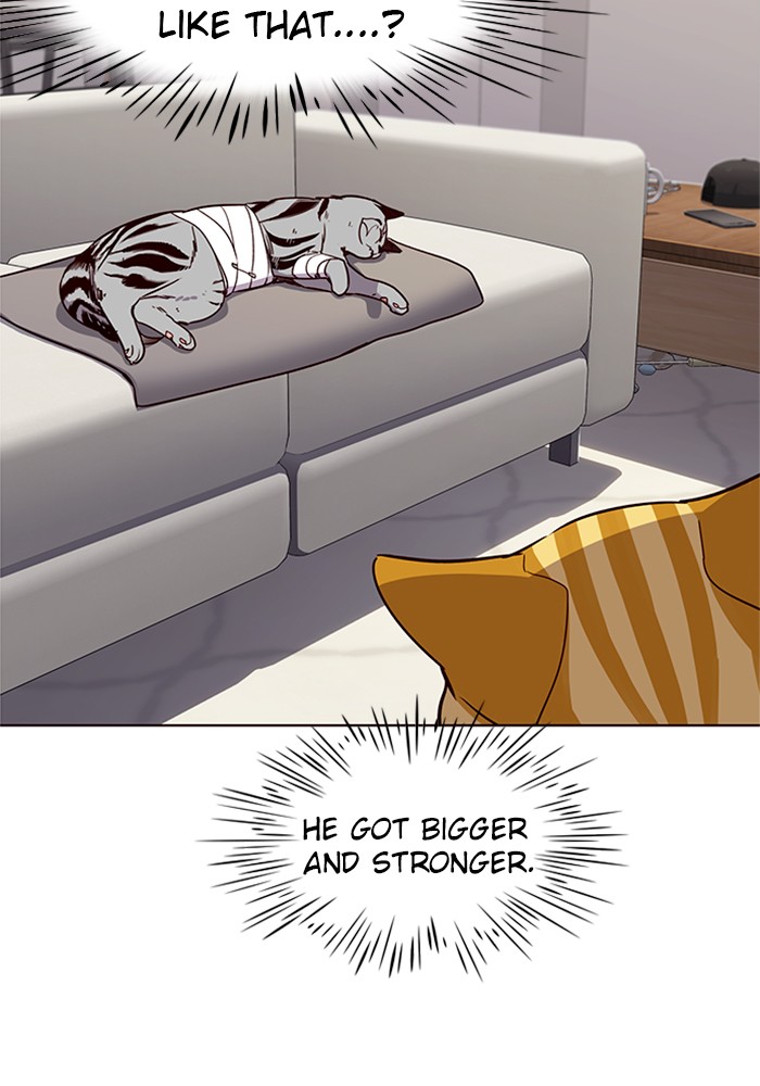 Eleceed Chapter 4 image 22