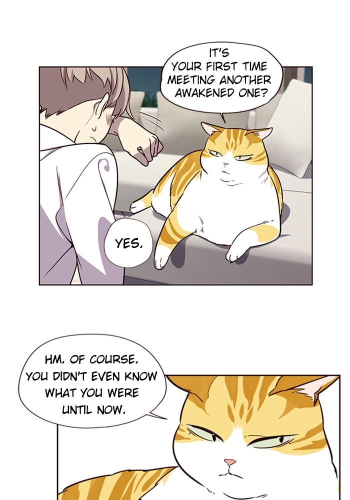 Eleceed Chapter 4 image 48