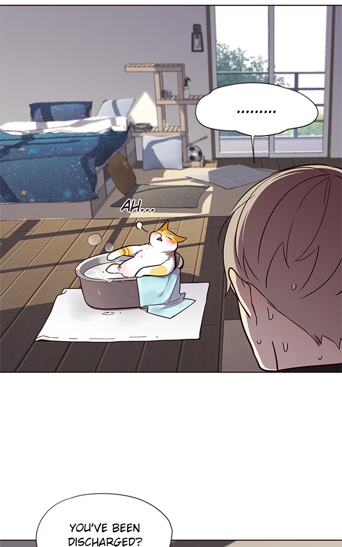 Eleceed Chapter 47 image 33