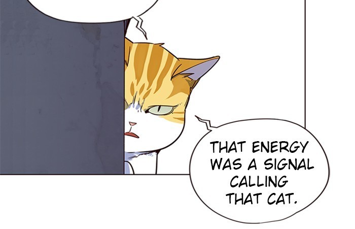 Eleceed Chapter 5 image 47