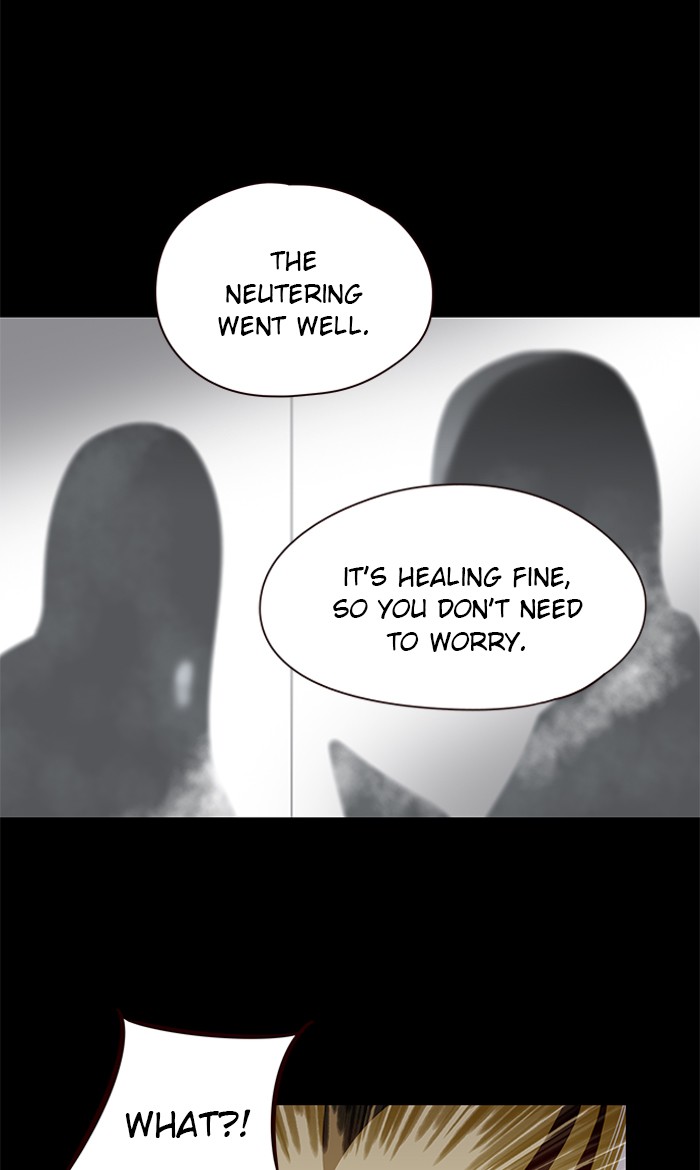 Eleceed Chapter 56 image 7