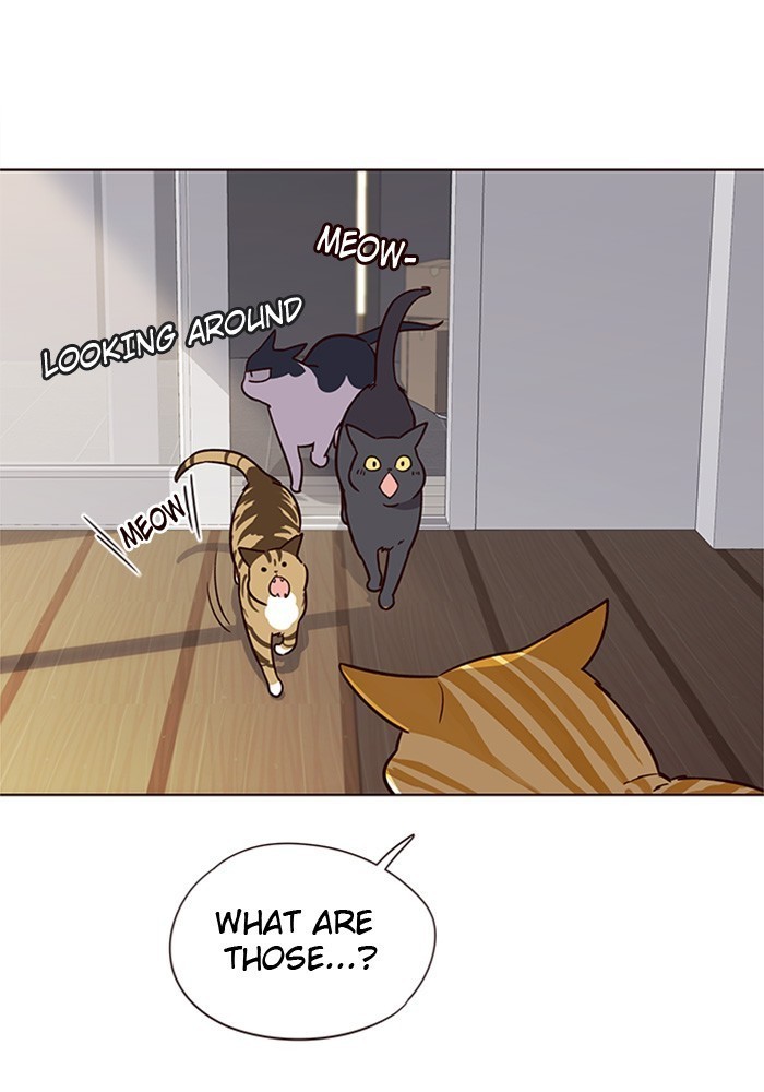 Eleceed Chapter 6 image 61