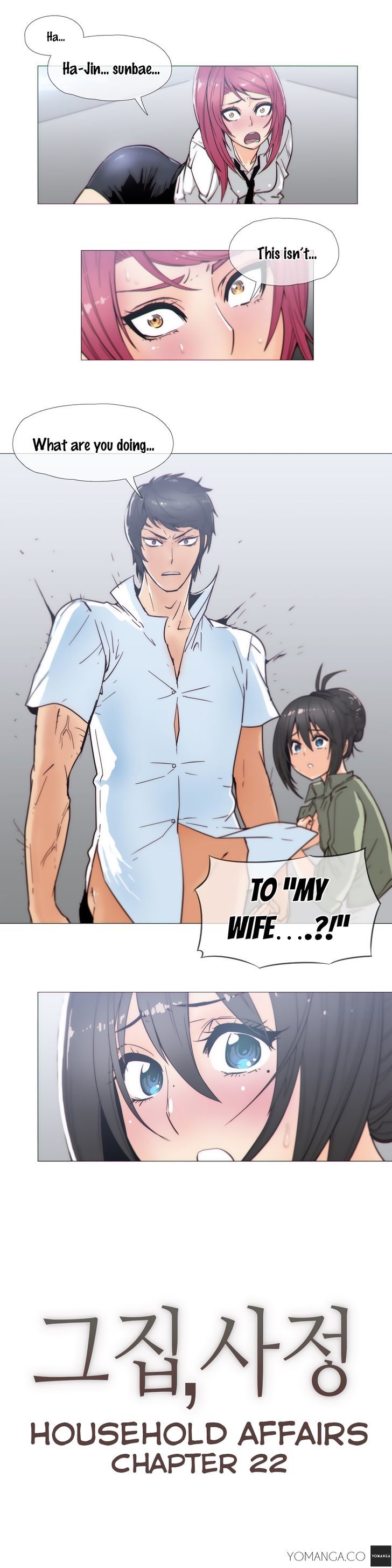 Household Affairs Chapter 22 image 1