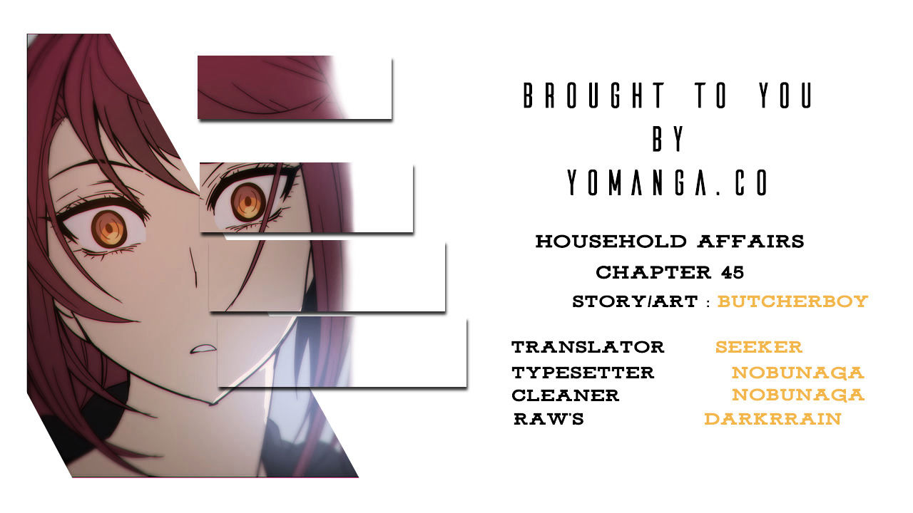 Household Affairs Chapter 45 image 0