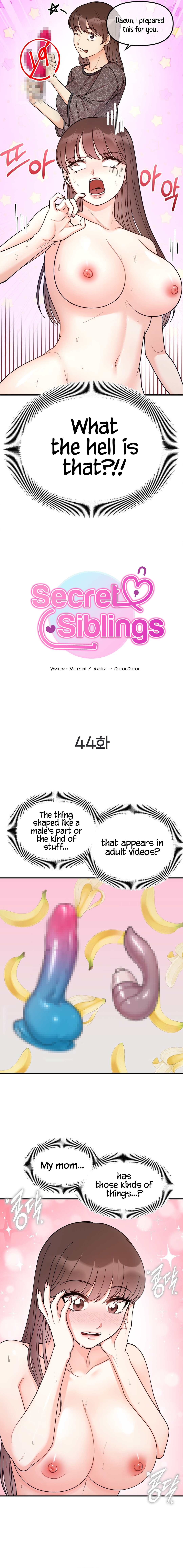 Secret Siblings Chapter 44 image 1